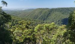 View over Springbrook NP to the Gold Coast